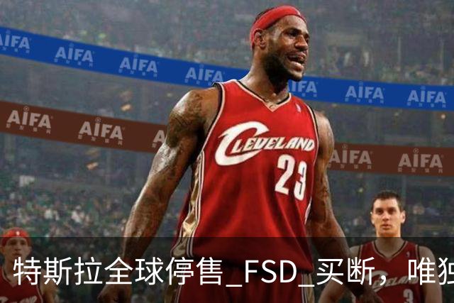特斯拉全球停售 FSD 买断，唯独中国还卖 6.4 万