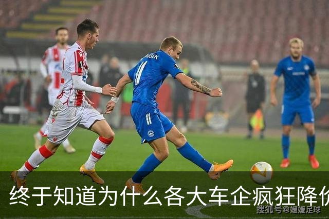终于知道为什么各大车企疯狂降价了，因为资本已经嗅觉到大变化了